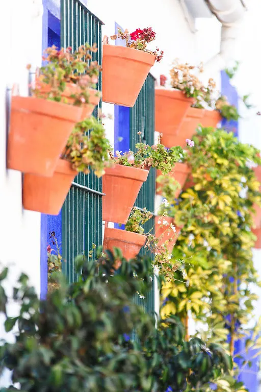 Hotel Sechi Aparthotel Marbella - Self Service, With Parking Estepona